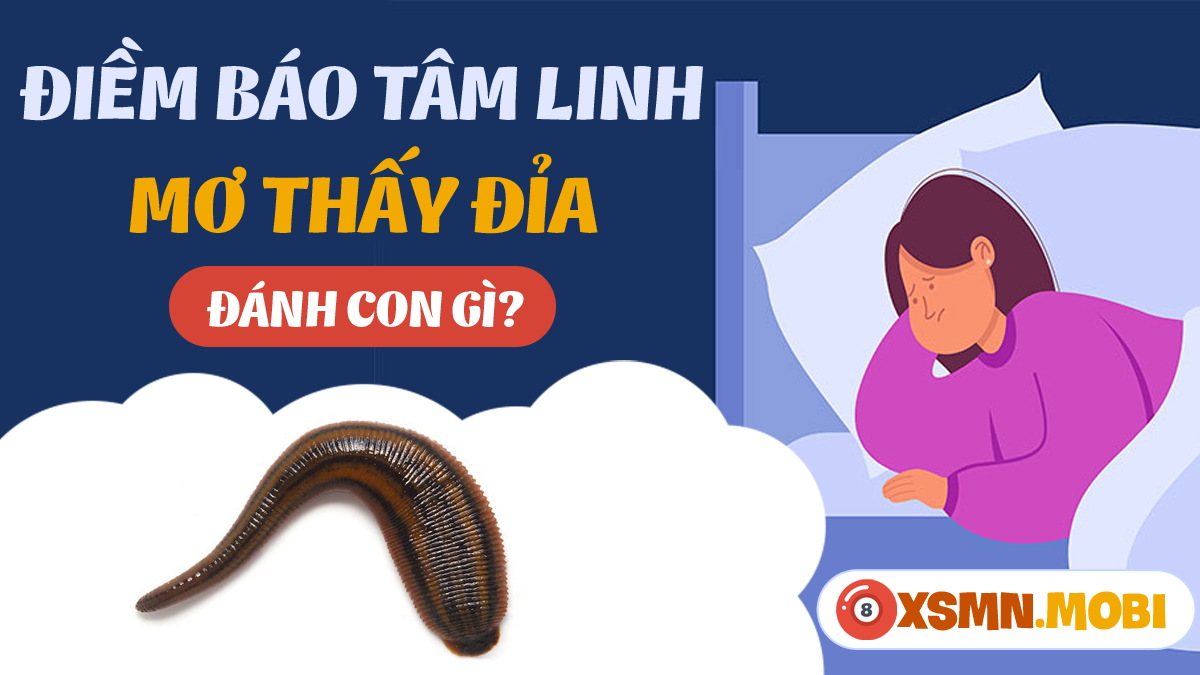 Giải Mã Giấc Mơ Thấy Đỉa Bám Vào Tay Và Số Đề Liên Quan