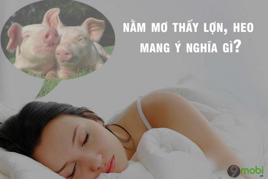 Nằm Mơ Thấy Kiến Đánh Số May