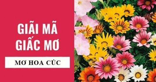Giải Mã Giấc Mơ Thấy Cá Sấu Ăn Thịt Người Khác