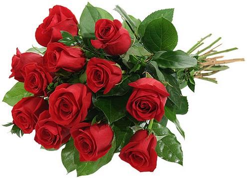 Giải Mã Giấc Mơ Thấy Cá Sấu Ăn Thịt Người Khác