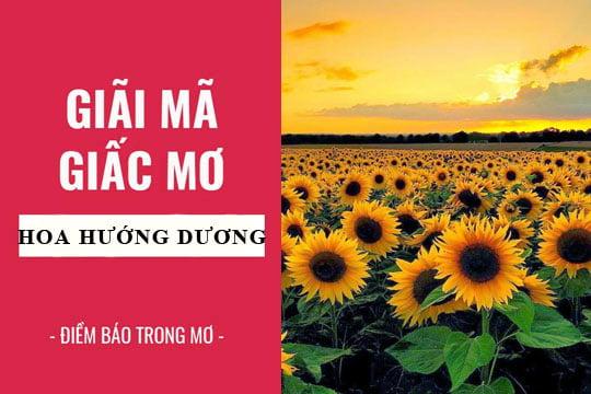 Giải Mã Giấc Mơ Thấy Đi Qua Cầu Khỉ và Số Đề Liên Quan