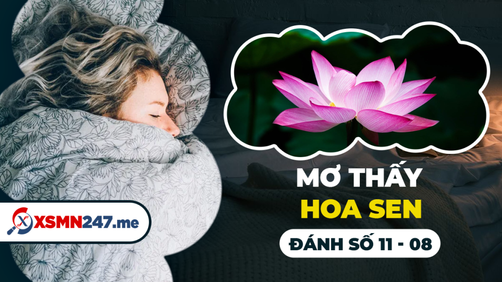 Nằm Mơ Thấy Mình Bị Đánh Đánh Đề Con Gì?