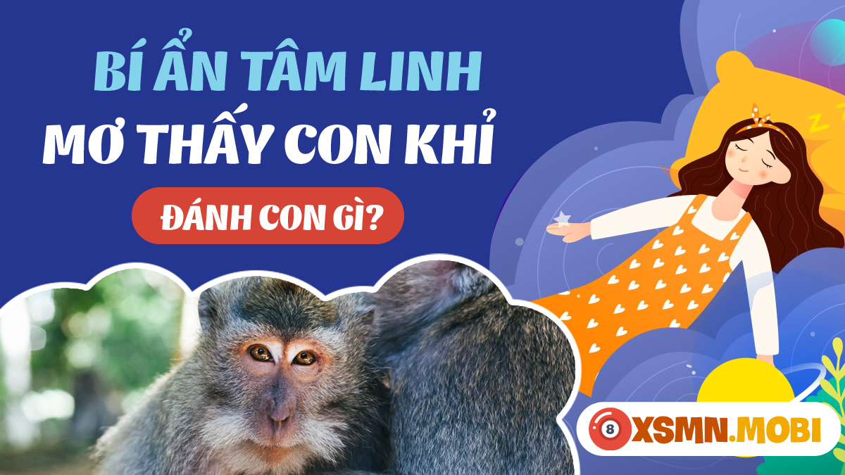 Giải Mã Giấc Mơ Thấy Đi Qua Cầu Khỉ và Số Đề Liên Quan