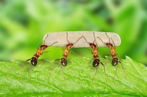 Nằm mơ thấy dây chuyền bạc đánh đề con gì?