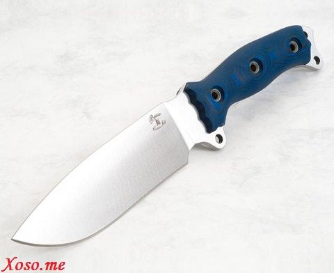 Giải Mã Giấc Mơ Thấy Con Công Và Những Con Số Liên Quan