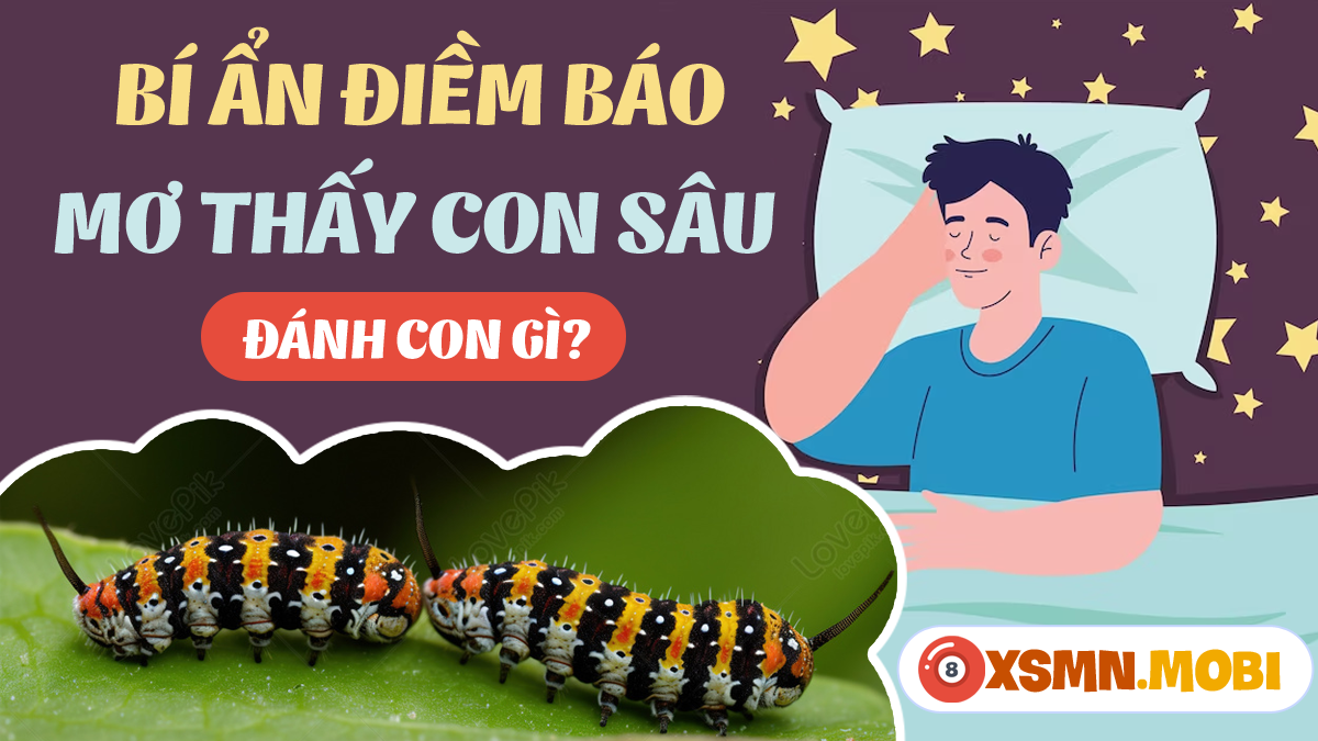 Nằm mơ thấy sâu róm hóa bướm