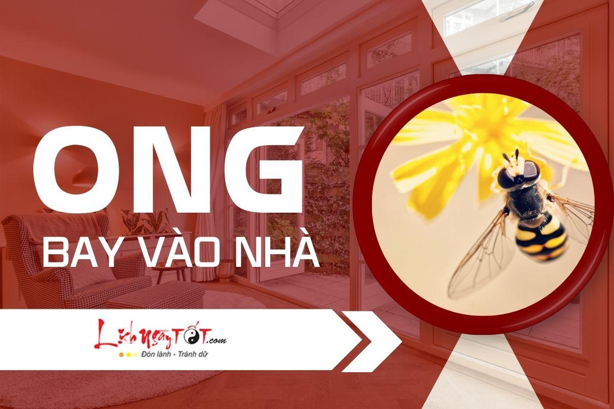 Nằm Mơ Thấy Bướm Đánh Con Gì? Giải Mã Chi Tiết