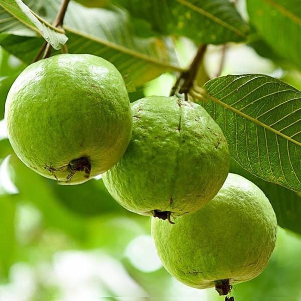 Nằm mơ thấy sảy thai đánh con gì? Giải mã giấc mơ và con số may mắn