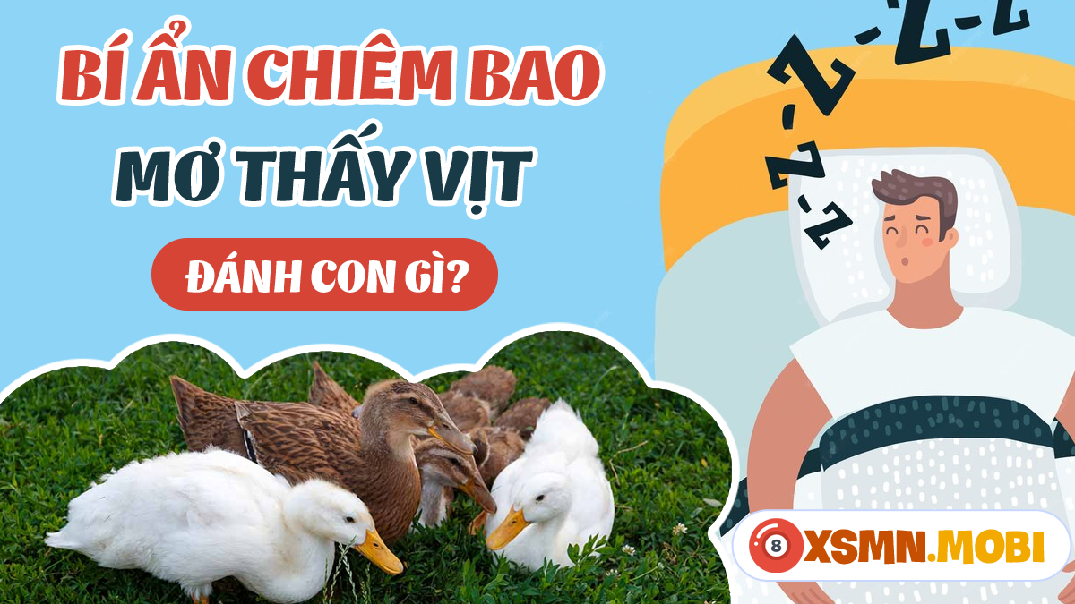 Giải Mã Giấc Mơ Thấy Vịt và Số Đề