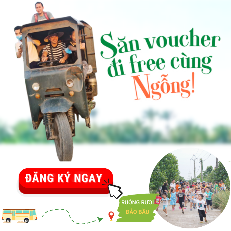 Nằm Mơ Thấy Chọc Tiết Heo Đánh Con Gì?