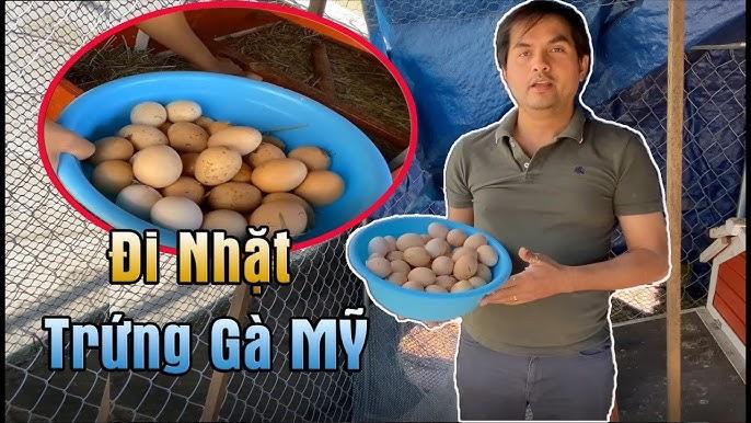 Giải Mã Giấc Mơ Bắt Được 3 Con Rắn Và Số Đề Liên Quan