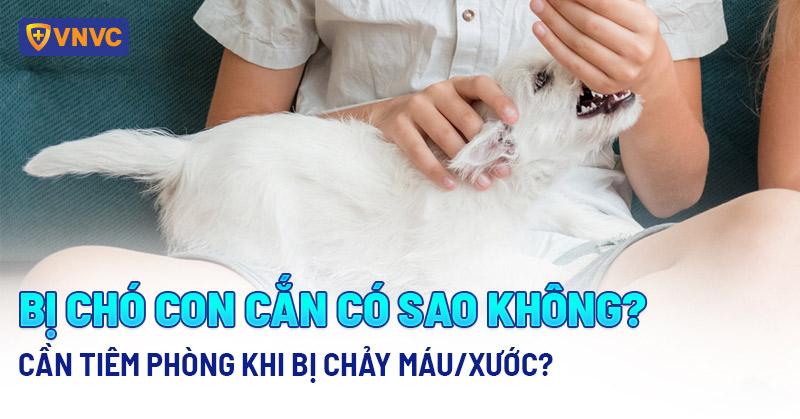Giải Mã Giấc Mơ Thấy Rắn Màu Trắng