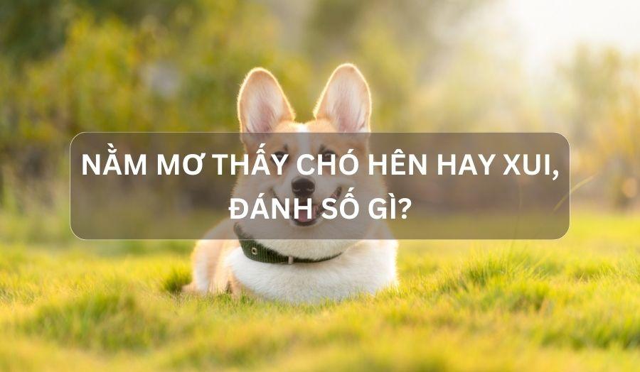 Đêm Qua Anh Nằm Mơ Thấy Em Trong Giấc Mơ: Giải Mã Số Đề