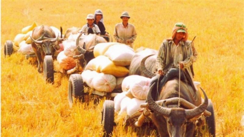 Nằm Mơ Thấy Bà Già Cho Tiền: Điềm Báo Gì Về Tài Lộc?