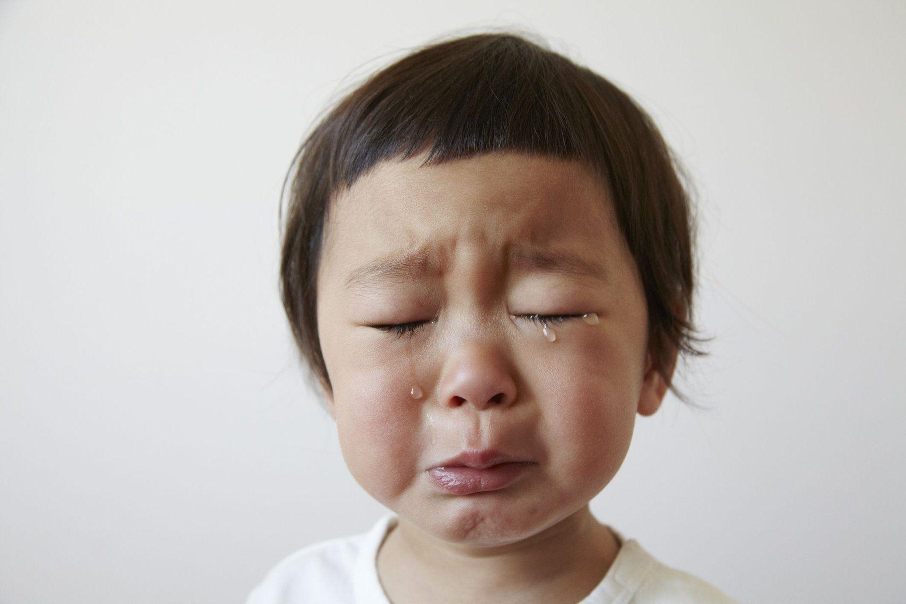 Rất nhiều giun sán