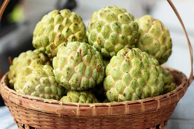 Cách Trị Bệnh Ngủ Nằm Mơ Hiệu Quả