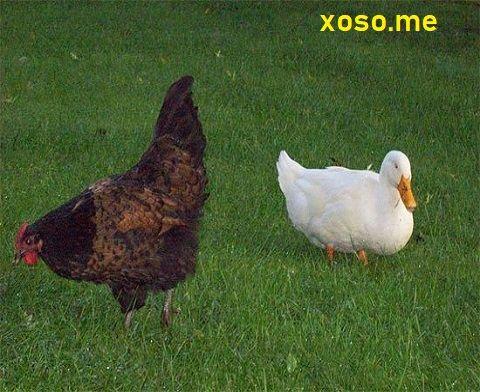 Nằm Mơ Mua Vàng Là Điềm Gì? Giải Mã Bí Ẩn