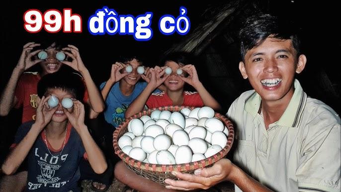 Nhiều trứng vịt trên đồng cỏ