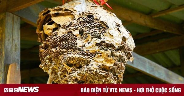 Giải Mã Giấc Mơ Thấy Buôn Bán Và Con Số May Mắn