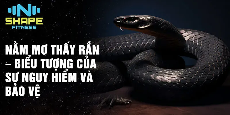 Giải Mã Giấc Mơ Thấy Cầu Thủ Bóng Đá Và Số Đề