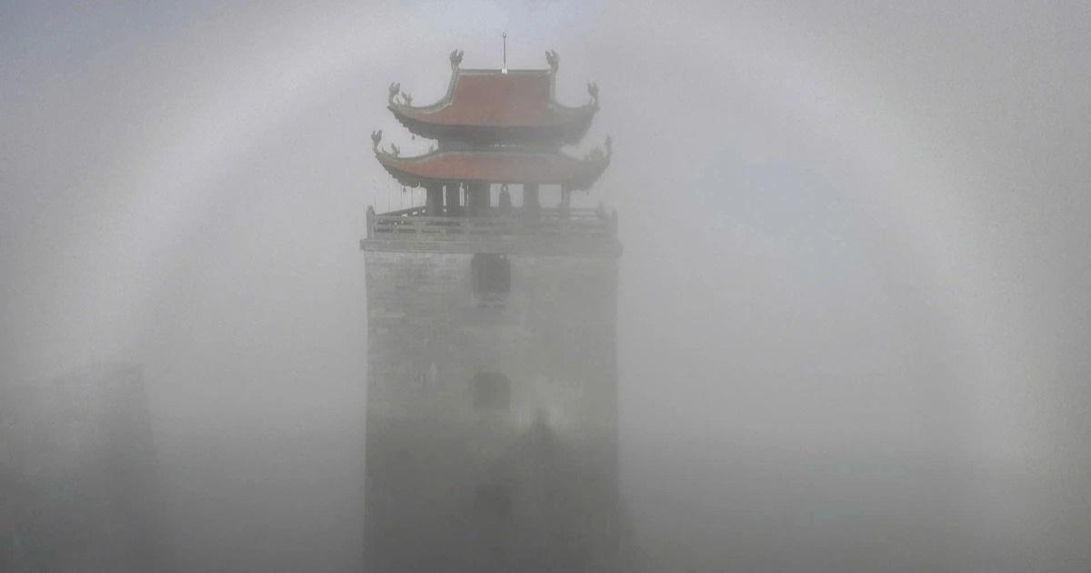 Giải Mã Giấc Mơ Thấy Con Vật Không Lo Và Số Đề