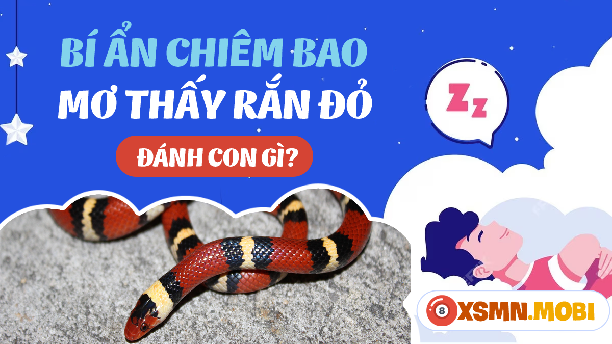 Giải Mã Giấc Mơ Nhìn Thấy Vợ Và Số Đề Liên Quan