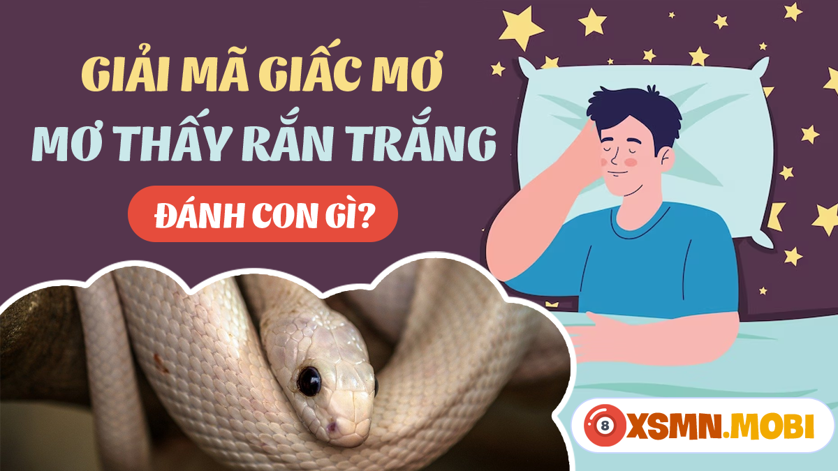 Giải Mã Giấc Mơ Thấy Bắn Máy Bay Và Những Con Số Liên Quan