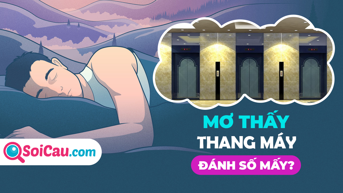 Giải Mã Giấc Mơ Thấy Cá Chép Bay Trên Trời