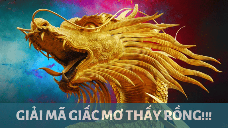 Giải Mã Giấc Mơ Thấy Cá Tấn Công Và Con Số May Mắn