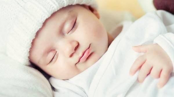 Nằm mơ thấy mèo rừng đánh đề con gì?