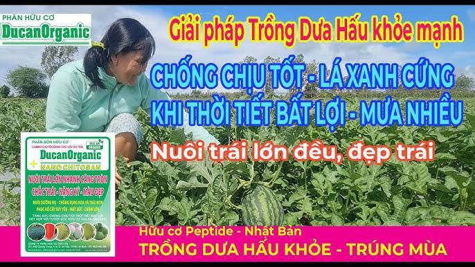 Nằm mơ có thai sinh đôi là điềm gì? Giải mã chi tiết