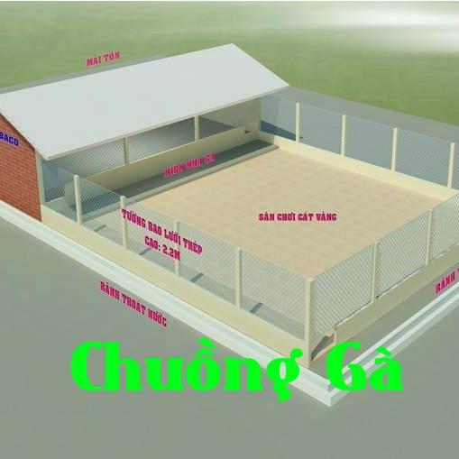 Xây Chuồng Gà