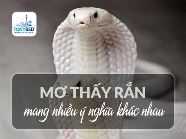 Giải Mã Giấc Mơ Thấy Ăn Ổi Chín và Số Đề Liên Quan