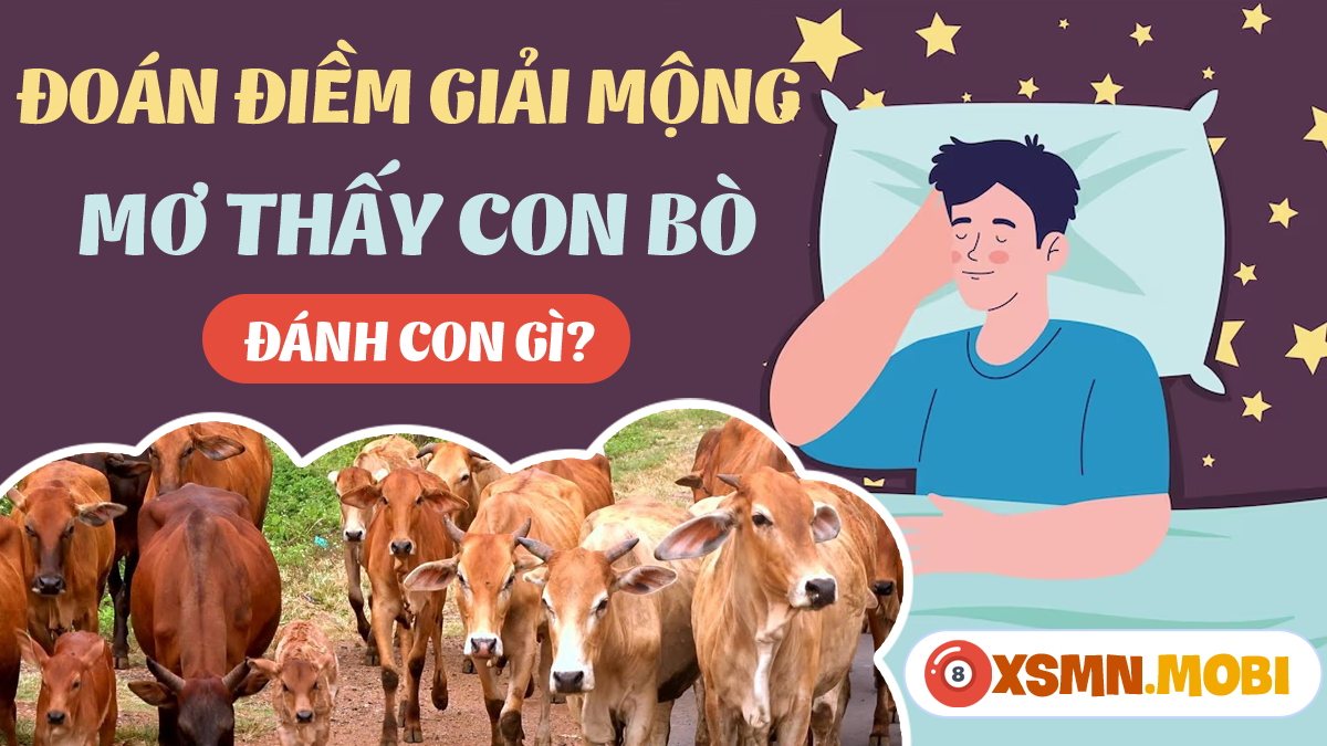 Giải Mã Giấc Mơ Thấy Vôi Trắng Và Những Con Số May Mắn