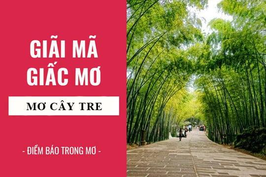 Giải Mã Giấc Mơ Thấy Bạn Học Cũ Thích Mình Và Con Số May Mắn