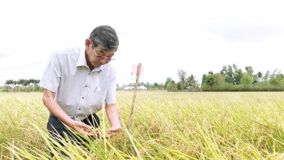 Giải Mã Giấc Mơ Thấy Phật Quan Âm và Số Đề Liên Quan