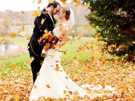 Bà Bầu Nằm Mơ Thấy Trăn: Giải Mã Số Đề Chính Xác